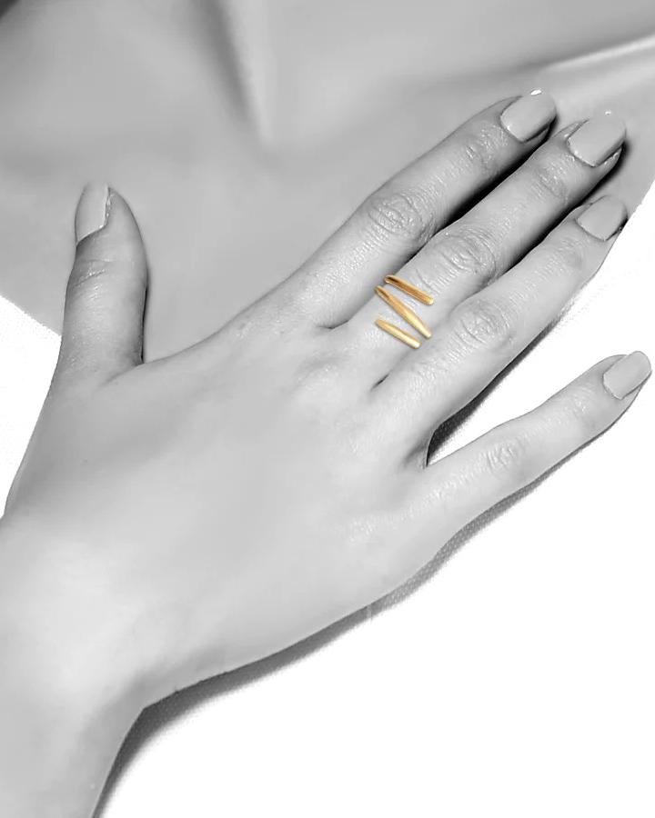Twisted Rings
